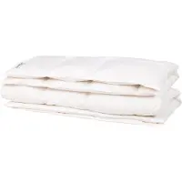 Balette Silver All Year Donsdekbed - 135x200 - Eenpersoons - Enkeldekbed Voor Alle Seizoenen - Dons & Veren Dekbed - Anti Huisstofmijt & Allergie (NOMITE) - Warmteklasse 3 - Zomer & Winterdekbed