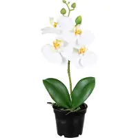 Louis Maes Orchidee bloemen kunstplant op plug - bloemen/bloemetjes - wit/groen - H33 cm - Kamer/kantoor/badkamer