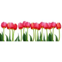 Dimex Fotobehang - Bed of Tulips 375x150cm - Vliesbehang