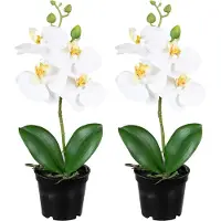 Louis Maes Orchidee bloemen kunstplant op plug - 2x - bloemen/bloemetjes - wit/groen - H33 cm