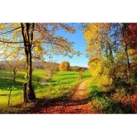 Dimex Fotobehang - Meadow 375x250cm - Vliesbehang