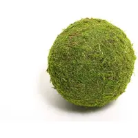HBX natural living Bal Mos Asia Ø20cm Groen Groen Mos Kerststukje