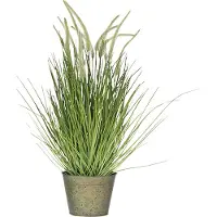 Dulaire Kunst Siergras in Pot Groot 81 cm