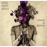 Warner Music Chaos in Bloom