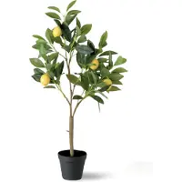 Dulaire Kunst Citroenboom In Pot 73 cm