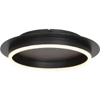Steinhauer Plafondlamp Ringlux 32cm zwart