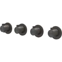 Ivy Aia Tribe Afbouwdeel inbouwthermostaat met 3 stopkranen symmetry met ronde rozetten RVS316 geborsteld carbon black PVD
