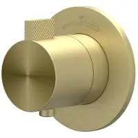 Ivy Aia Tribe Afbouwdeel inbouwthermostaat symmetry met rond rozet RVS316 geborsteld mat goud PVD