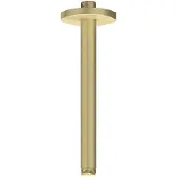 Ivy Aia Toebehoren Plafondbuis 20cm 1/2" RVS316 geborsteld mat goud PVD