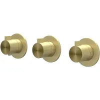Ivy Aia Tribe Afbouwdeel inbouwthermostaat met 2 stopkranen symmetry met ronde rozetten RVS316 geborsteld mat goud PVD
