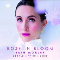 OUTHERE ROSE IN BLOOM