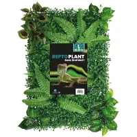 Aquadistri Repto plant achterwand mat 40-60 cm 1 Repto