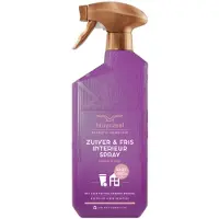 Bruynzeel Zuiver & Fris Interieurspray Fresh Wood 500 Ml