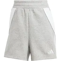 Adidas Tiro24 Sweat Shorts Grijs XL / Regular Vrouw