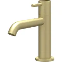 Ivy Aia Fonteinkraan Concord Opbouw Model S Met Schuimstraalmond Geborsteld Mat Goud PVD
