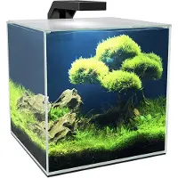 Ciano Aquarium Cube 10 LED Zwart