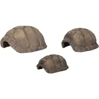 CeramicNature Grot Schildpad - Maat: XSmall