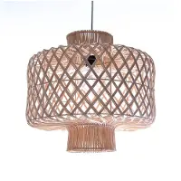 Design Handmade lamp Hanglamp Naturel Rotan Ufo woonkamer Slaapkamer 50 cm