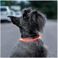 Northix Collier LED voor dieren - INNOVAGOODS - PETLUX - Zichtbaar oranje - Grijs - Nachtzichtbaarheid