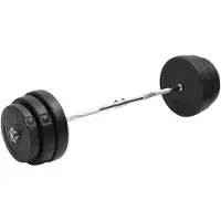 vidaXL Halter gebogen met gewichten 90 kg