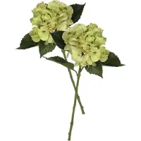 Mica Decorations Kunstbloem Hortensia tak - 2x - groen - 51 cm - losse steel - Kunst zijdebloemen