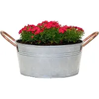 Mega Collections Teil/plantenpot/bloempot Jean - zink - zilver - D27 X H13 cm