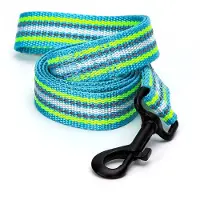 Nobleza Hondenriem reflecterend - Lengte 120 cm - Platte hondenriem- Nylon uitlaatriem voor honden - Groen