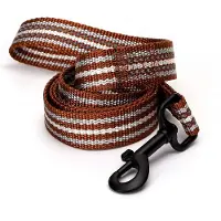 Nobleza Hondenriem reflecterend - Lengte 120cm - Uitlaatriem - Platte hondenriem- Nylon uitlaatriem voor honden - Bruin