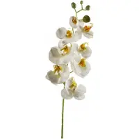 Emerald Kunstbloem Orchidee - 68 cm - wit - losse tak - kunst zijdebloem - Phalaenopsis