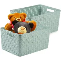 PlasticForte Opbergmand - 2x - Kastmand - rotan kunststof - mintgroen - 18 Liter - 29 x 39 x 20 cm