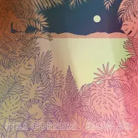 Konkurrent Still Corners - Slow Air (LP)