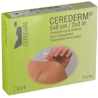 Cerederm Pleister 5cm x 8cm 10 St Pleister