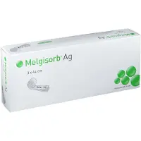 Molnlycke Health Care Melgisorb AG 3x44 cm 10 St Compressen