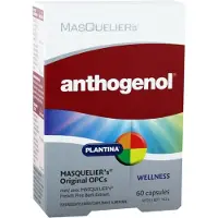 Masqueliers Anthogenol 60 capsules