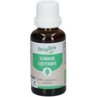 Herbalgem Lijsterbes Bio 30 ml