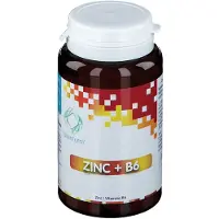 Form'axe Distriform Zink - B6 Gel 100 St Capsules