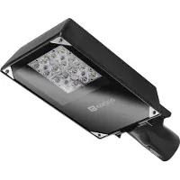 Norton KFT LED Straatverlichting - 3161002016