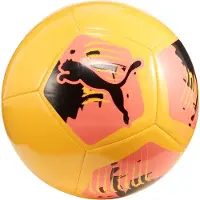 Puma Voetbal
