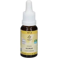 Lemon Pharma Bach Bloesems Original Nr. 13 Gorse | 20 ml