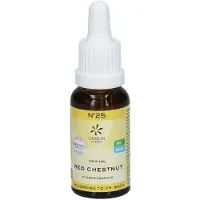 Hager Pharma GmbH Bach bloesemremedies red chestnut 20 ml