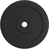 vidaXL Halterschijf 20 kg gietijzer