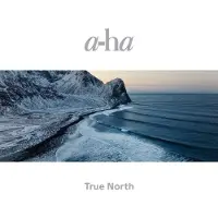 Aha - True North (Gatefold) (Booklet) (Metallic Embossing) (180 g) (2 LP)