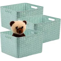 PlasticForte Opbergmand - 3x - Kastmand - rotan kunststof - mintgroen - 28 Liter - 34 x 40 x 23 cm