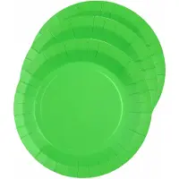 SANTEX feest gebak/taart bordjes - felgroen - 30x stuks - karton - D17 cm - Feestbordjes