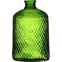 Natural Living Bloemenvaas Scubs Bottle - groen geschubt transparant - glas - 18 x 31 cm - Fles vazen