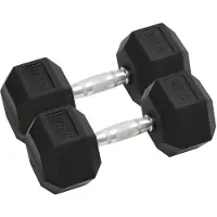 vidaXL Halve gewichtsschijven, 2 stuks, totaal 12,5 kg, gietijzer