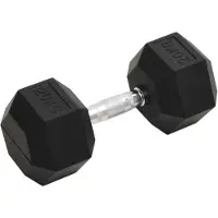 vidaXL Korte halter van 20 kg, gietijzer