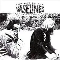 Konkurrent Vaselines - The Way Of The Vaselines - A Complete History (2 LP)