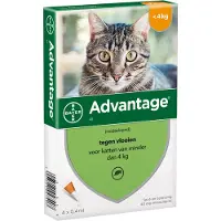 Advantage Kat 40 4 pip - Anti vlooien en tekenmiddel