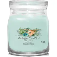 Yankee candle aloe & agave signature medium jar |